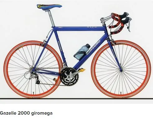 2000 Gazelle Giro 56cm Shimano Tiagra