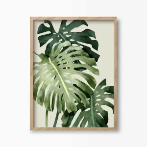 Monstera Deliciosa Art Print