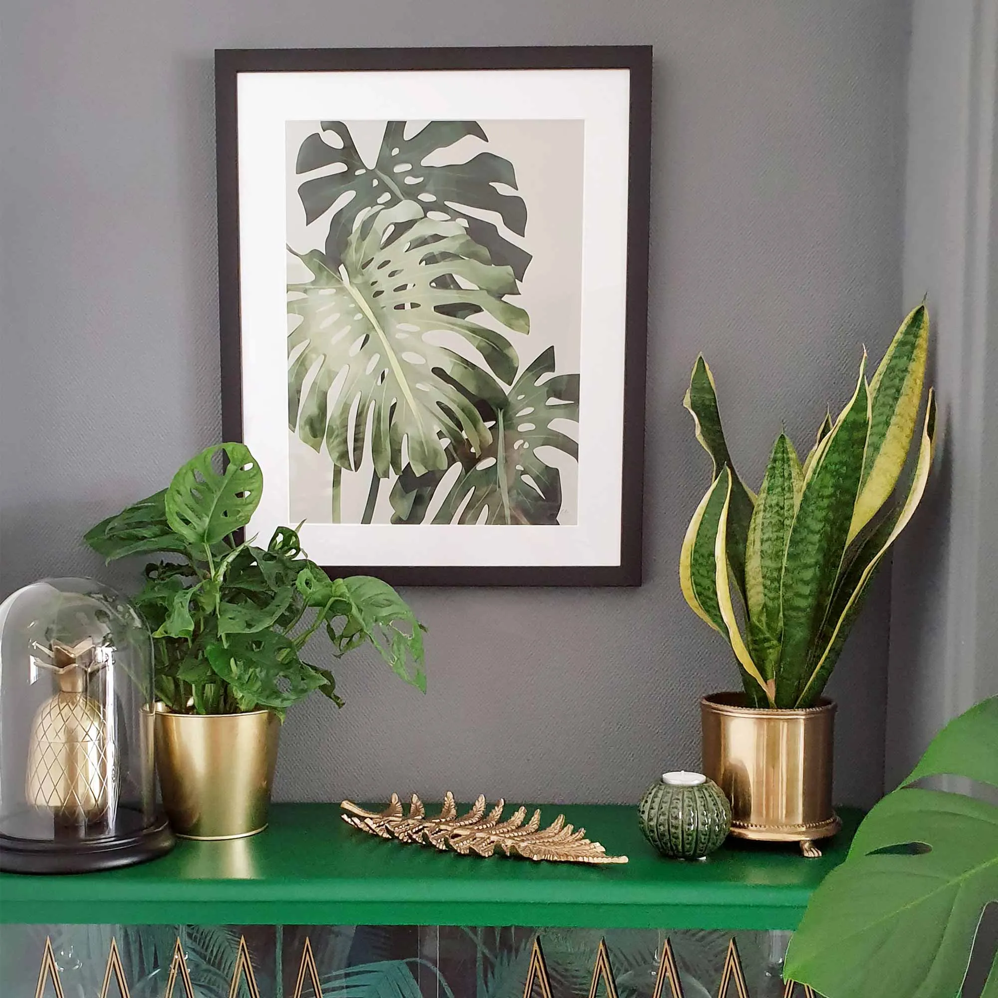 Monstera Deliciosa Art Print